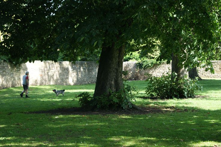 A man walking his dog in the park.